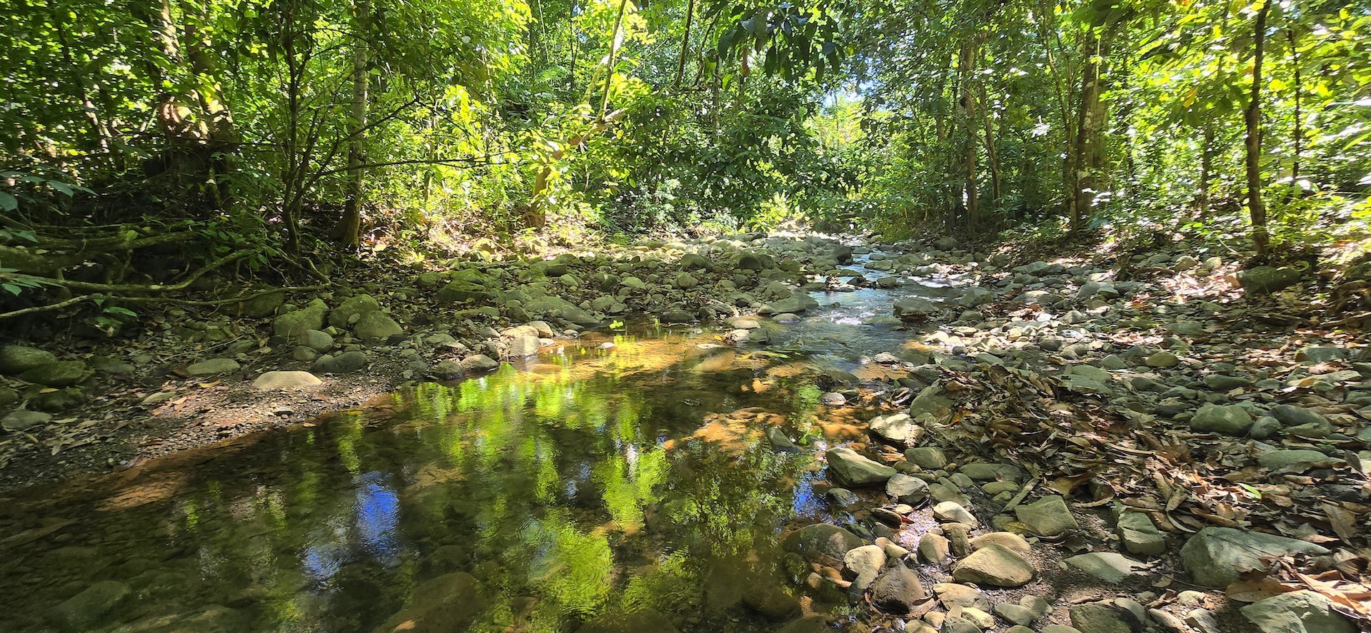 0 bed Land For Sale in Ojochal, Puntarenas - thumb 9