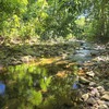  - River and Jungle Lot in Ventanas bordering public road