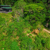  - Luxury Ocean View Home Surrounded Rainforest in Ojochal