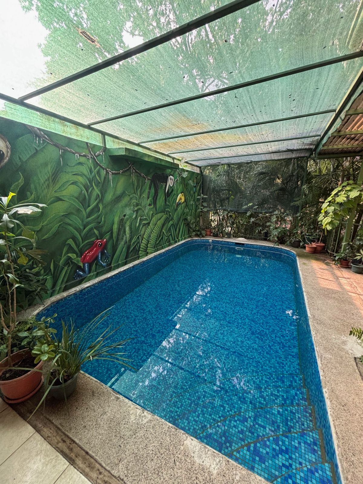 3 bed Single Family Homes For Sale in Atenas, Alajuela - thumb 13