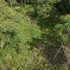  - PRIME LOCATION! 2,86 Acres, Ready to Build, Easy Access