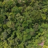  - PRIME LOCATION! 2,86 Acres, Ready to Build, Easy Access