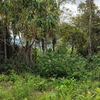  - PRIME LOCATION! 2,86 Acres, Ready to Build, Easy Access