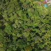  - PRIME LOCATION! 2,86 Acres, Ready to Build, Easy Access