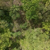  - PRIME LOCATION! 2,86 Acres, Ready to Build, Easy Access