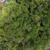  - PRIME LOCATION! 2,86 Acres, Ready to Build, Easy Access