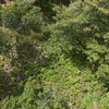  - PRIME LOCATION! 2,86 Acres, Ready to Build, Easy Access