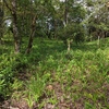  - PRIME LOCATION! 2,86 Acres, Ready to Build, Easy Access
