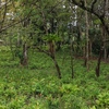  - PRIME LOCATION! 2,86 Acres, Ready to Build, Easy Access