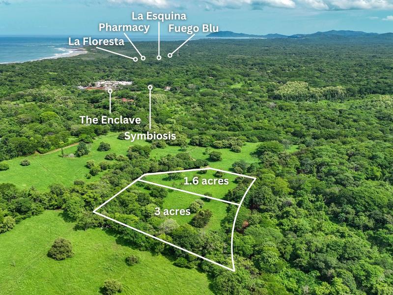 0 bed Land For Sale in Avellanas, Guanacaste - hero 4