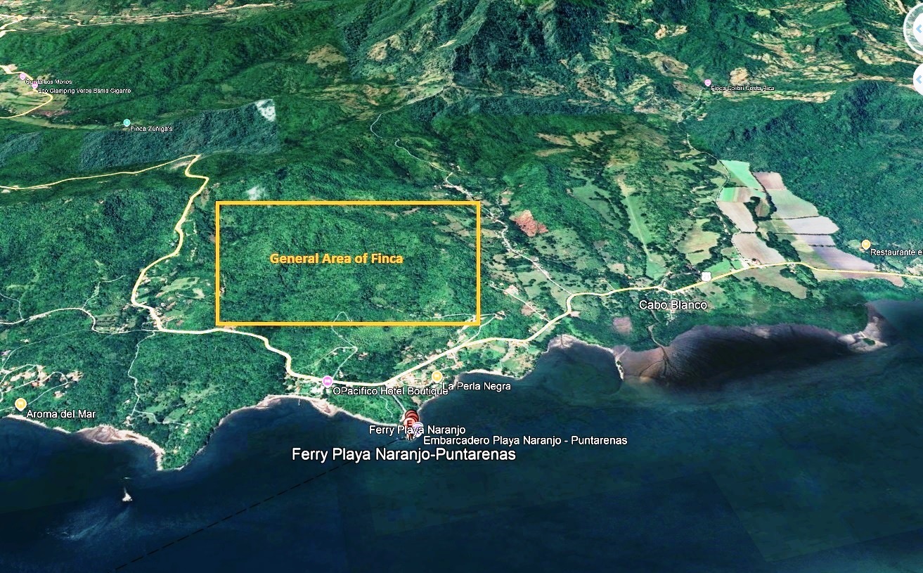 0 bed Land For Sale in Playa Naranjo, Puntarenas - thumb 8