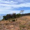  - For A Spectacular Ocean View / Beach Hotel Site - Look No Further! 25.5 Acres!