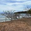  - For A Spectacular Ocean View / Beach Hotel Site - Look No Further! 25.5 Acres!