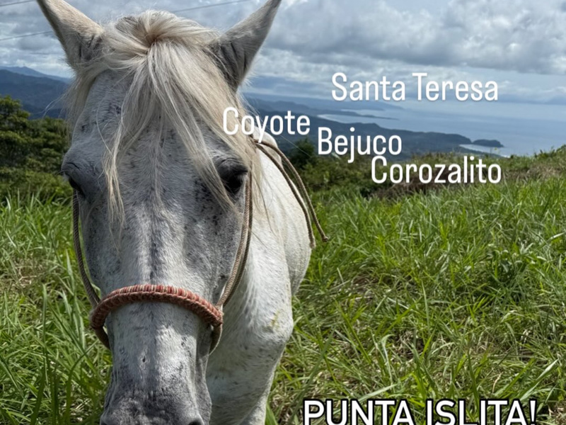 0 bed Land For Sale in Punta Islita Pacific, Guanacaste - hero 17