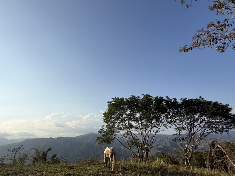 0 bed Land For Sale in Punta Islita Pacific, Guanacaste - hero 6