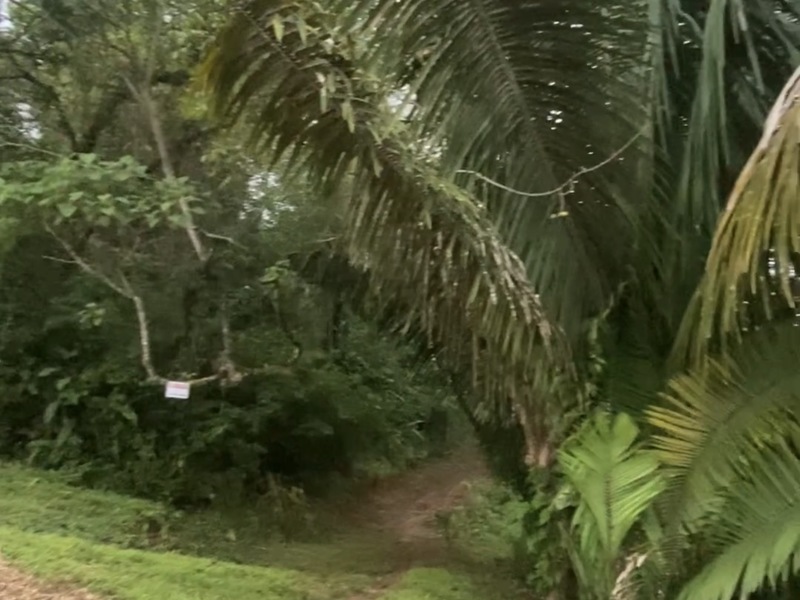 0 bed Land For Sale in Punta Islita Pacific, Guanacaste - hero 10