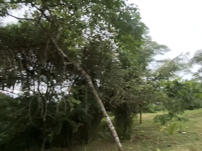 0 bed Land For Sale in Punta Islita Pacific, Guanacaste - hero 11