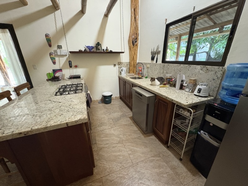2 bed Single Family Homes For Sale in Tamarindo, Guanacaste - hero 9