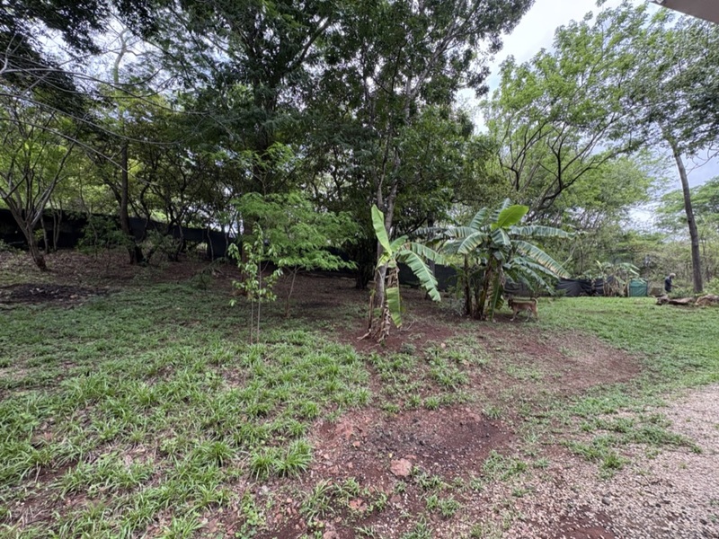 2 bed Single Family Homes For Sale in Tamarindo, Guanacaste - hero 3