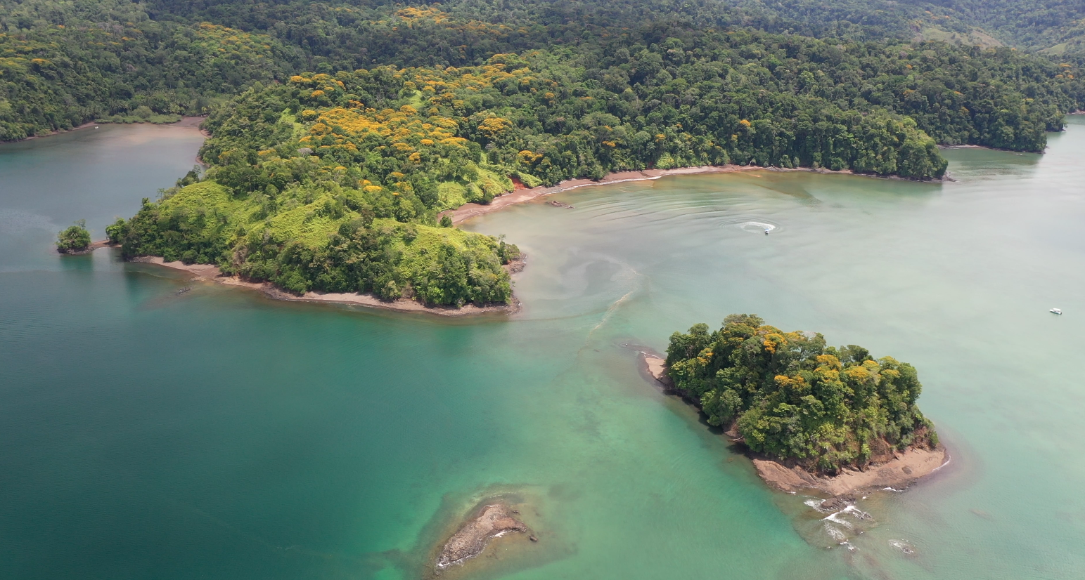 0 bed Land For Sale in Golfito, Puntarenas - thumb 13