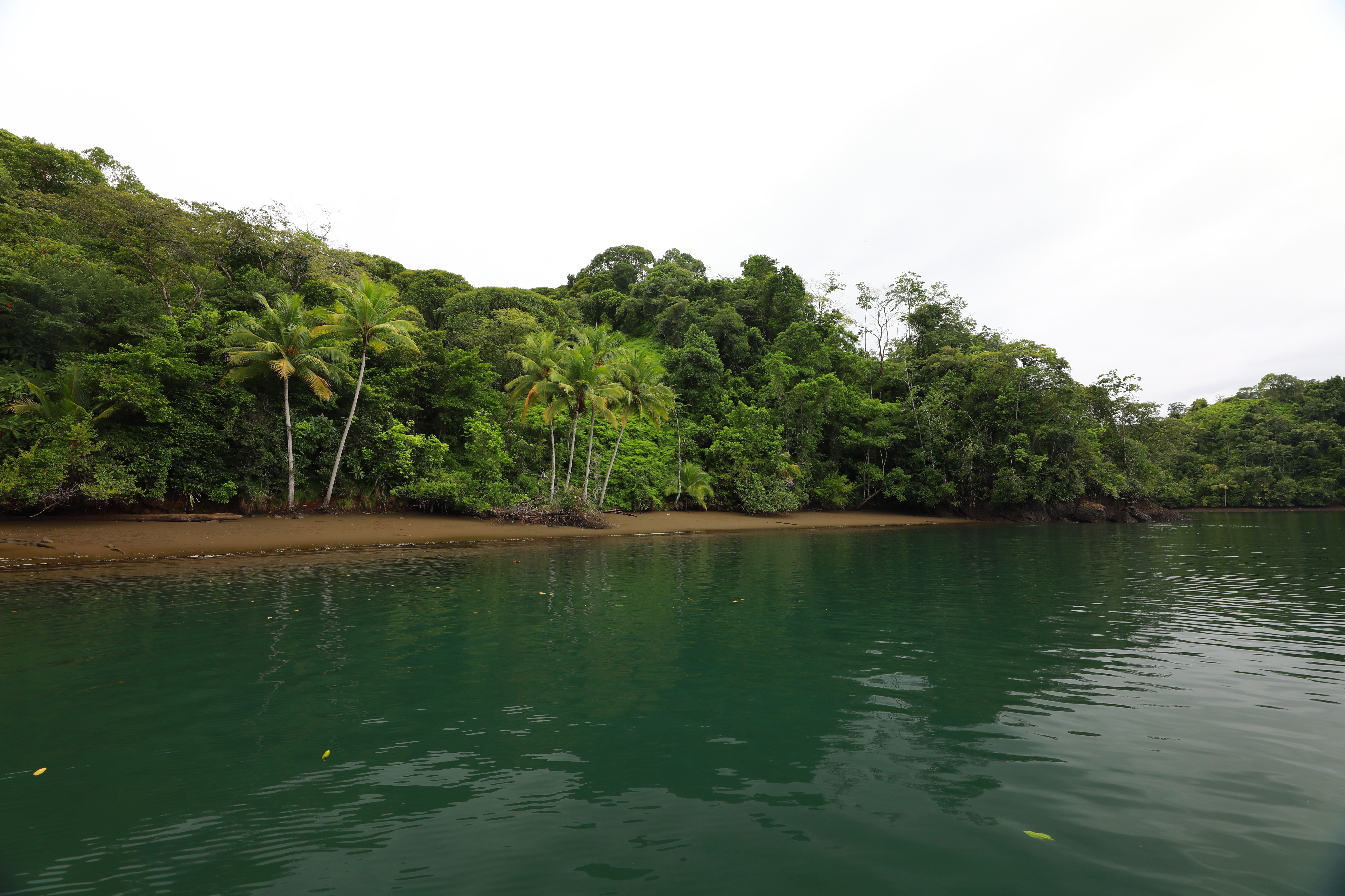 0 bed Land For Sale in Golfito, Puntarenas - thumb 10