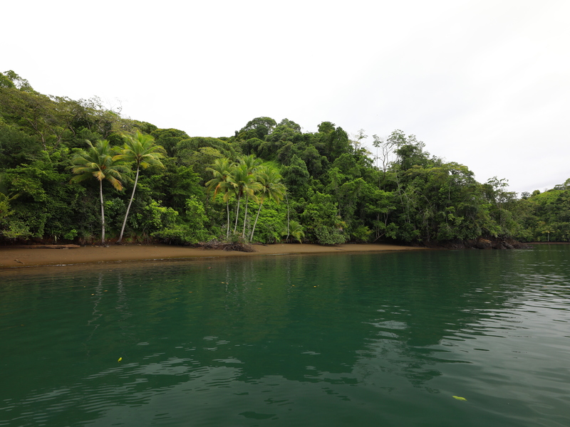 0 bed Land For Sale in Golfito, Puntarenas - hero 10
