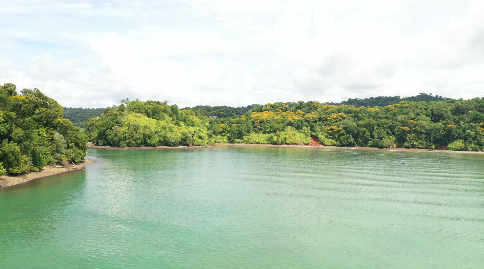 0 bed Land For Sale in Golfito, Puntarenas - thumb 12