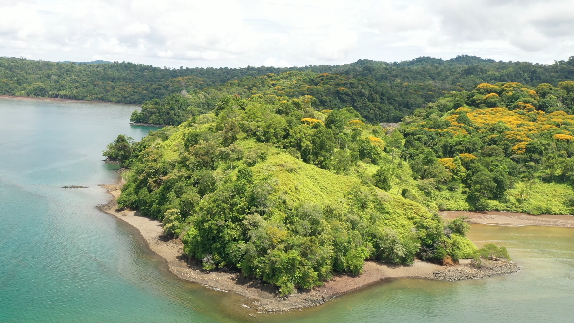 0 bed Land For Sale in Golfito, Puntarenas - thumb 6