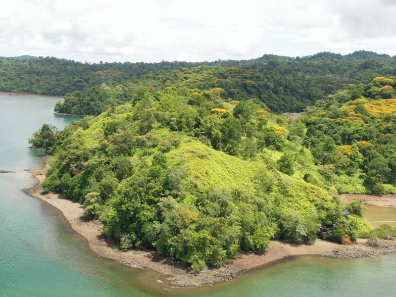 0 bed Land For Sale in Golfito, Puntarenas - hero 6