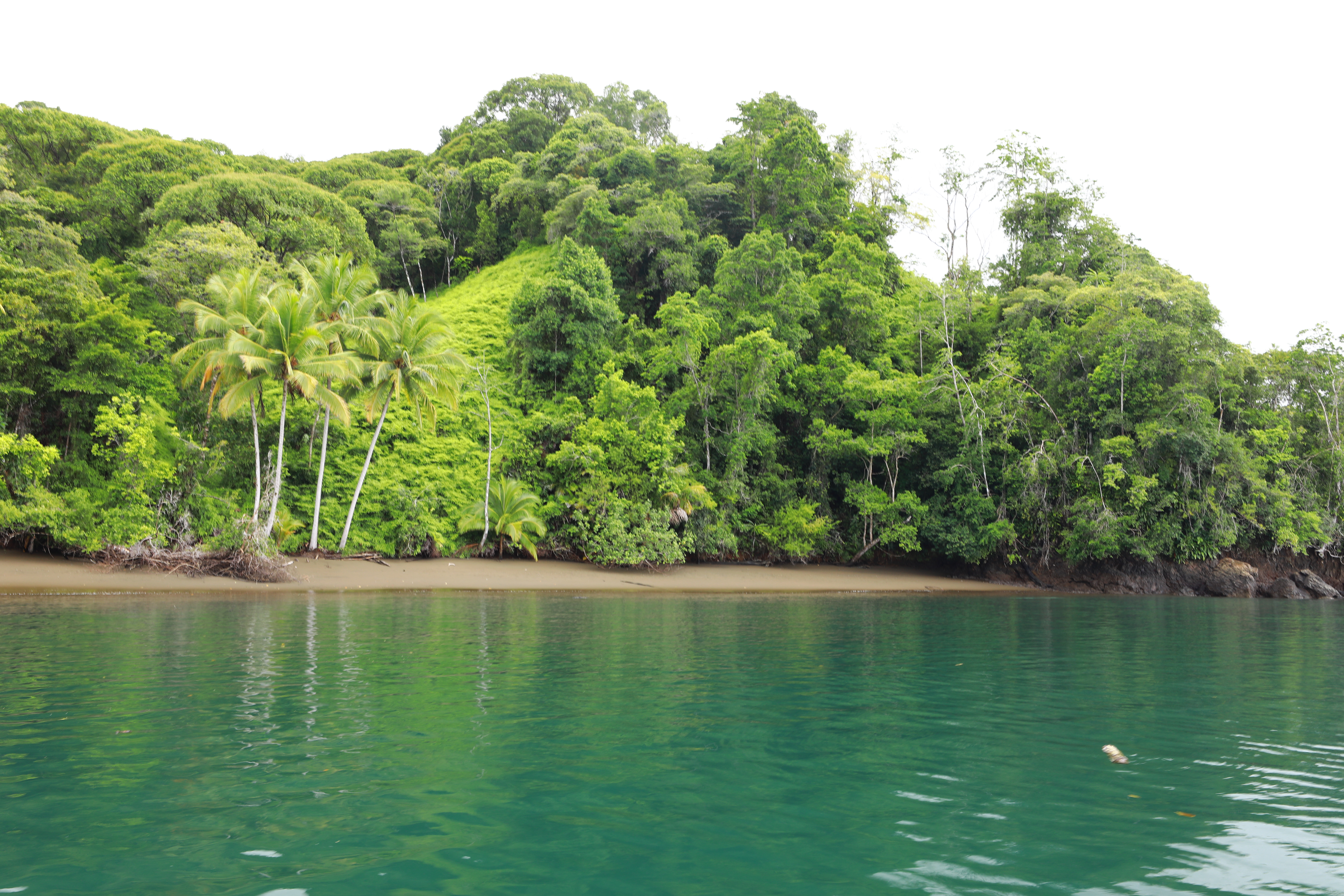 0 bed Land For Sale in Golfito, Puntarenas - thumb 9