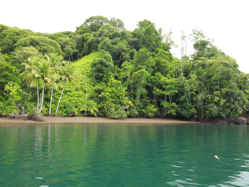 0 bed Land For Sale in Golfito, Puntarenas - hero 9