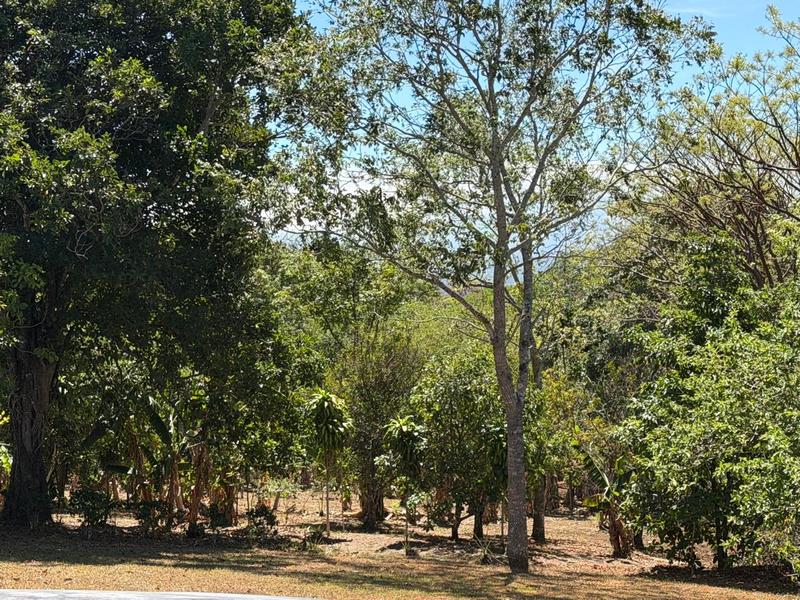 3 bed Single Family Homes For Rent in Atenas, Alajuela - hero 22