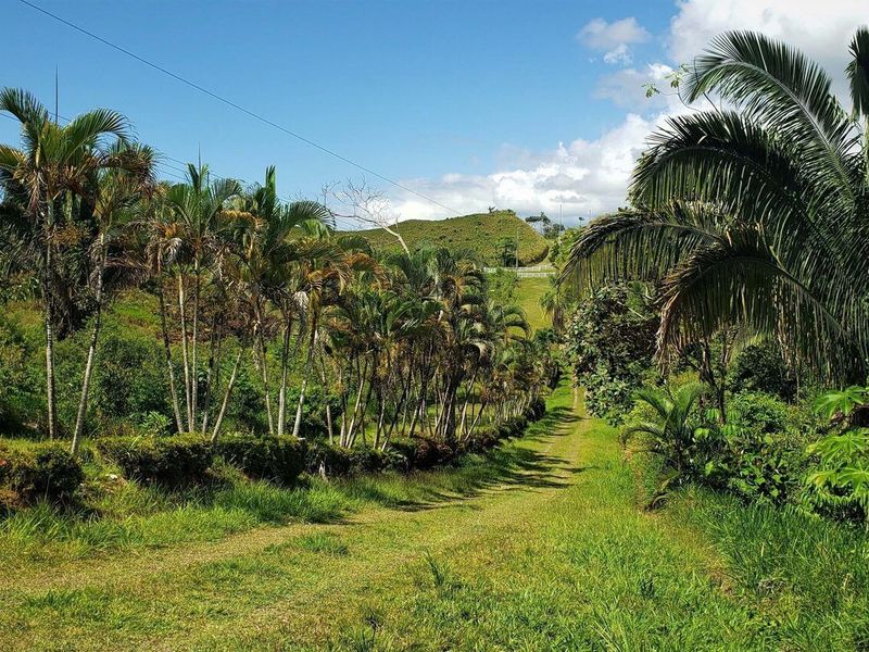 0 bed Land For Sale in Ojochal, Puntarenas - 1