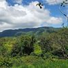  - Build Your Dream in Trópicos Verdes | Mountain View Residential Lot Near Ojochal