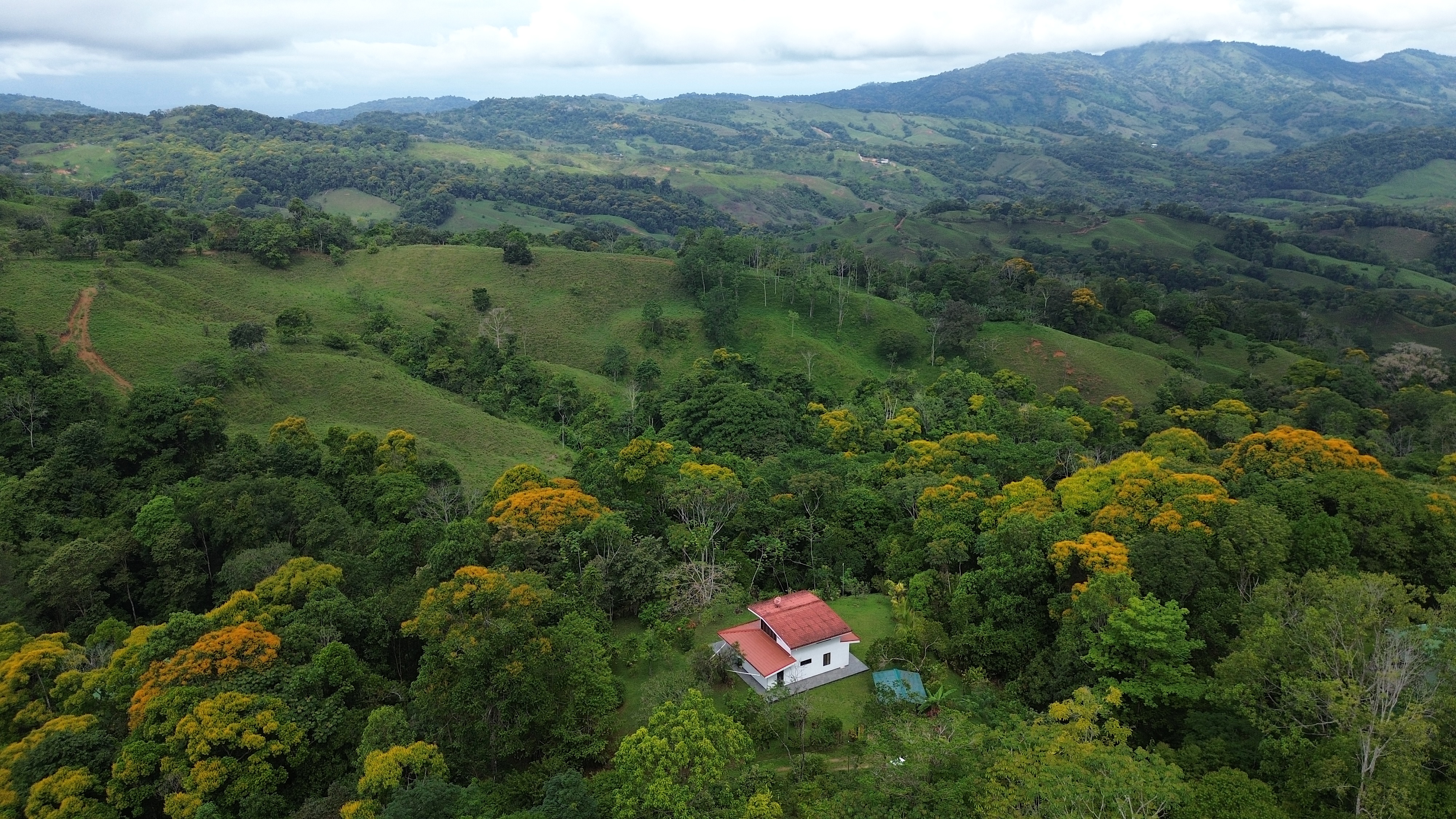 2 bed Single Family Homes For Sale in Perez Zeledon, San Jose - thumb 19