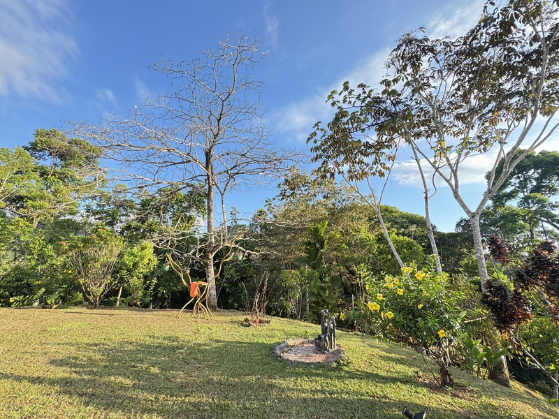 2 bed Single Family Homes For Sale in Perez Zeledon, San Jose - hero 12