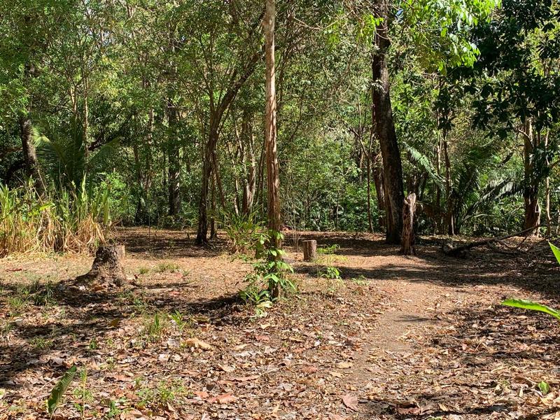 4 bed Single Family Homes For Sale in Cabuya, Puntarenas - hero 17