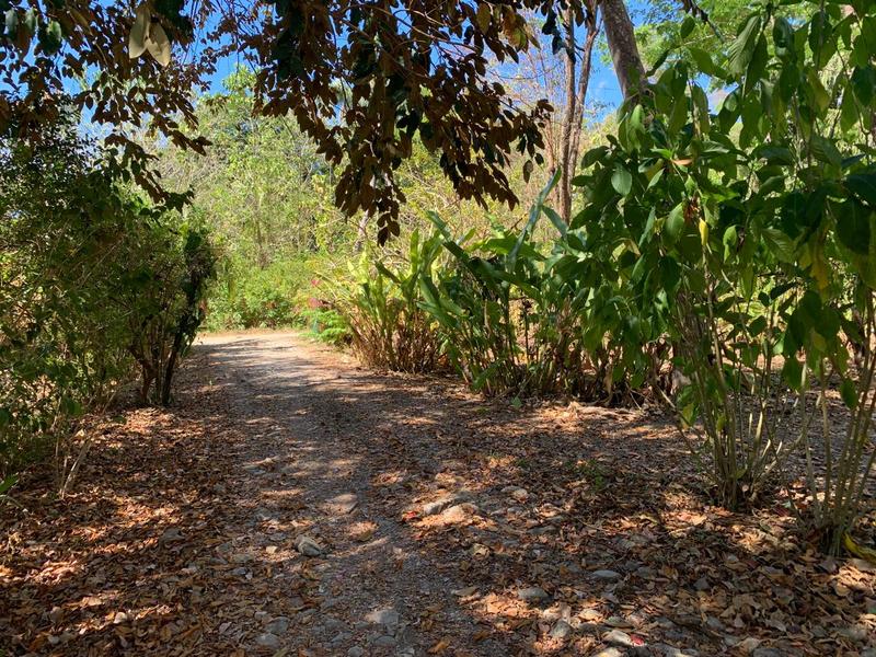 4 bed Single Family Homes For Sale in Cabuya, Puntarenas - hero 20