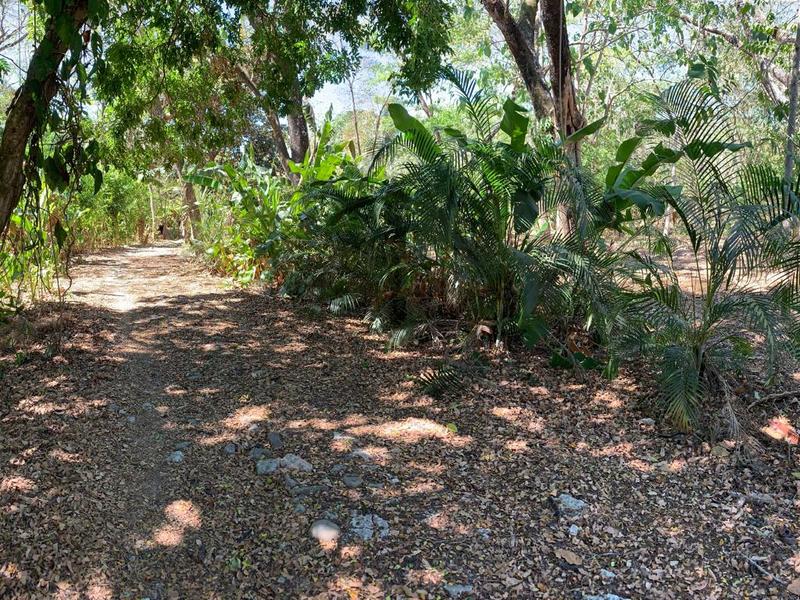 4 bed Single Family Homes For Sale in Cabuya, Puntarenas - hero 21