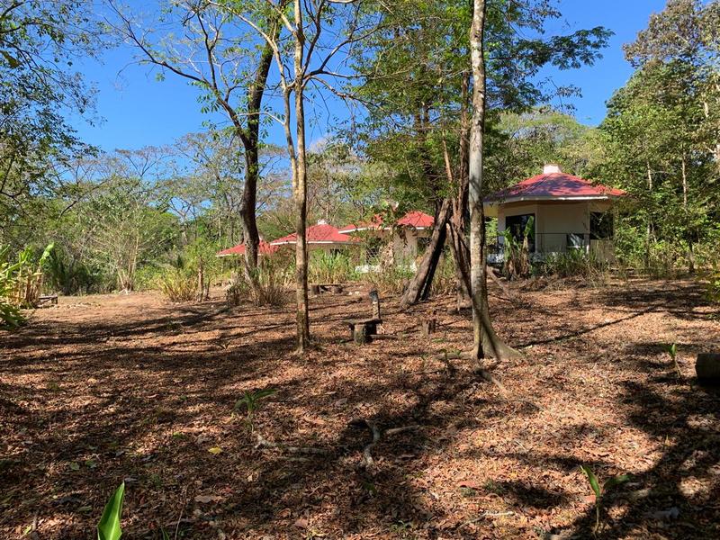 4 bed Single Family Homes For Sale in Cabuya, Puntarenas - hero 16