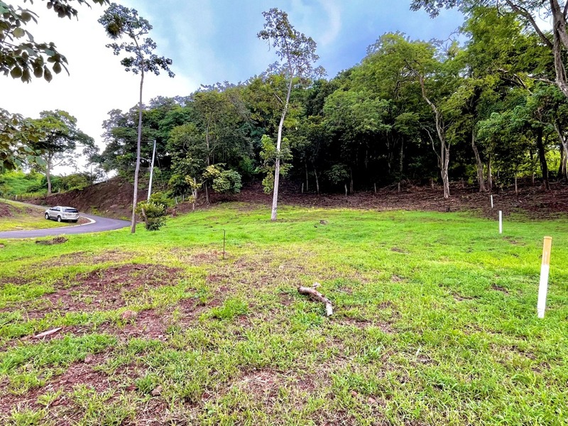 0 bed Land For Sale in Huacas, Guanacaste - hero 2