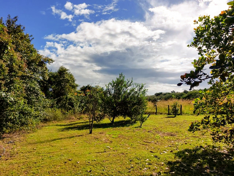 9 bed Land For Sale in Bagaces, Guanacaste - hero 30