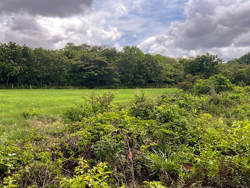 9 bed Land For Sale in Bagaces, Guanacaste - hero 9
