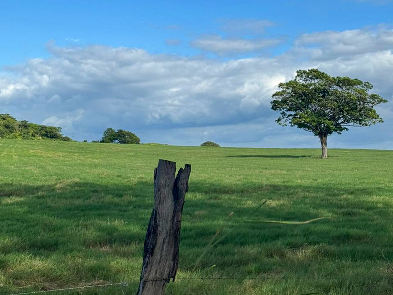 9 bed Land For Sale in Bagaces, Guanacaste - 1