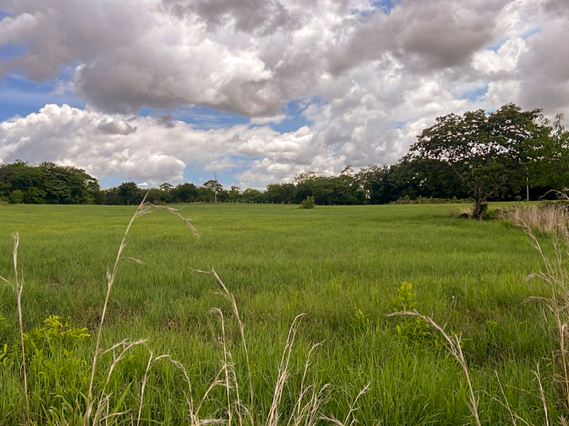 9 bed Land For Sale in Bagaces, Guanacaste - hero 12