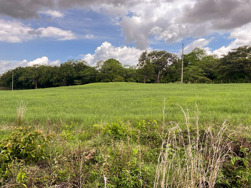 9 bed Land For Sale in Bagaces, Guanacaste - hero 10