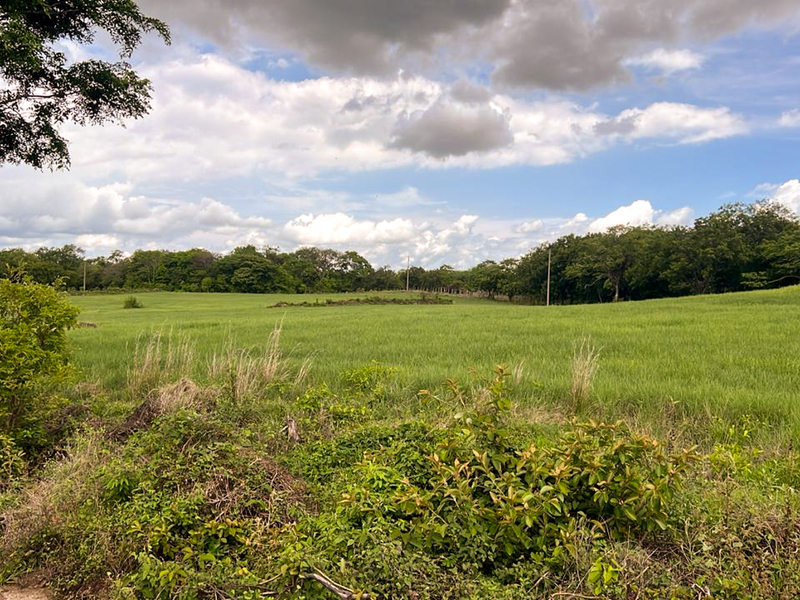 9 bed Land For Sale in Bagaces, Guanacaste - hero 11