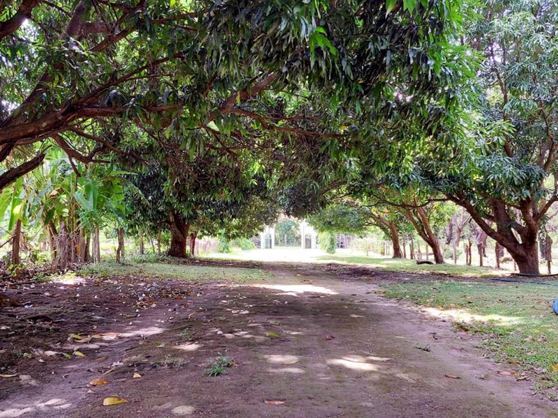 9 bed Land For Sale in Bagaces, Guanacaste - hero 8