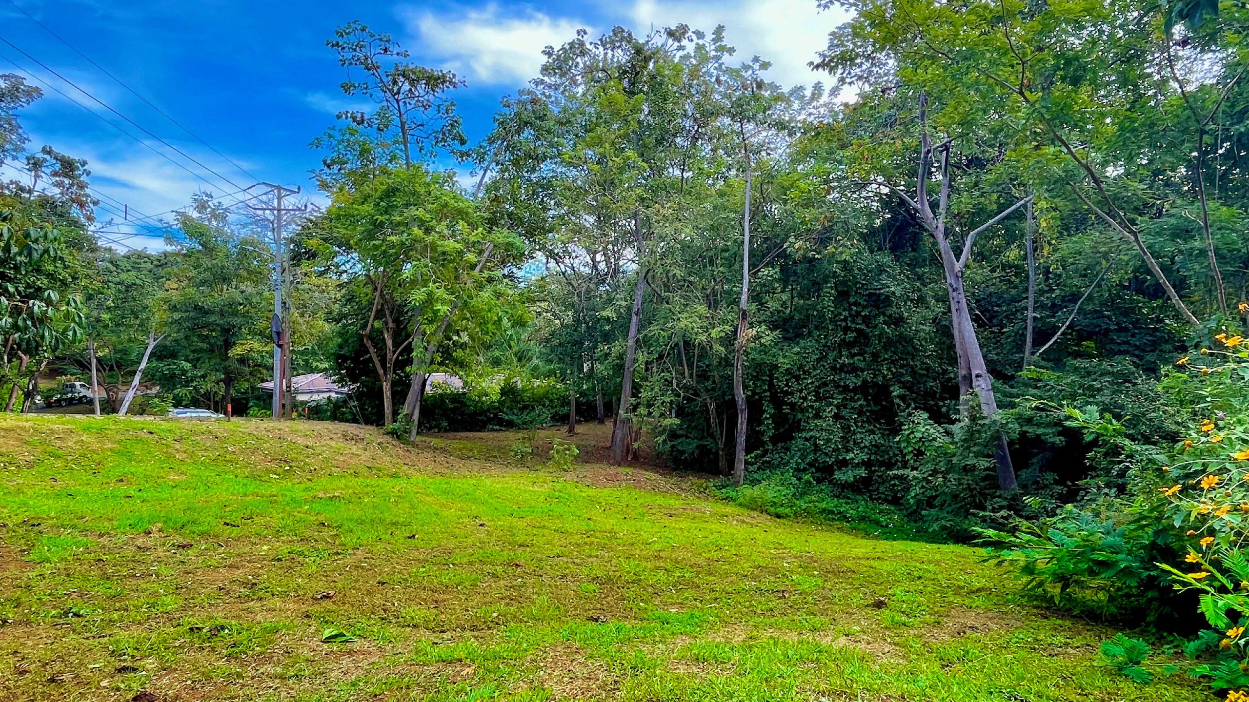 0 bed Land For Sale in Playa Grande, Guanacaste - thumb 4