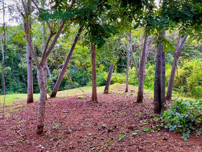 0 bed Land For Sale in Playa Grande, Guanacaste - hero 4